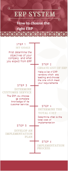 ERP system Examples